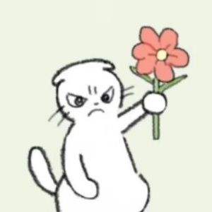 Meet your Posher, Katelyn